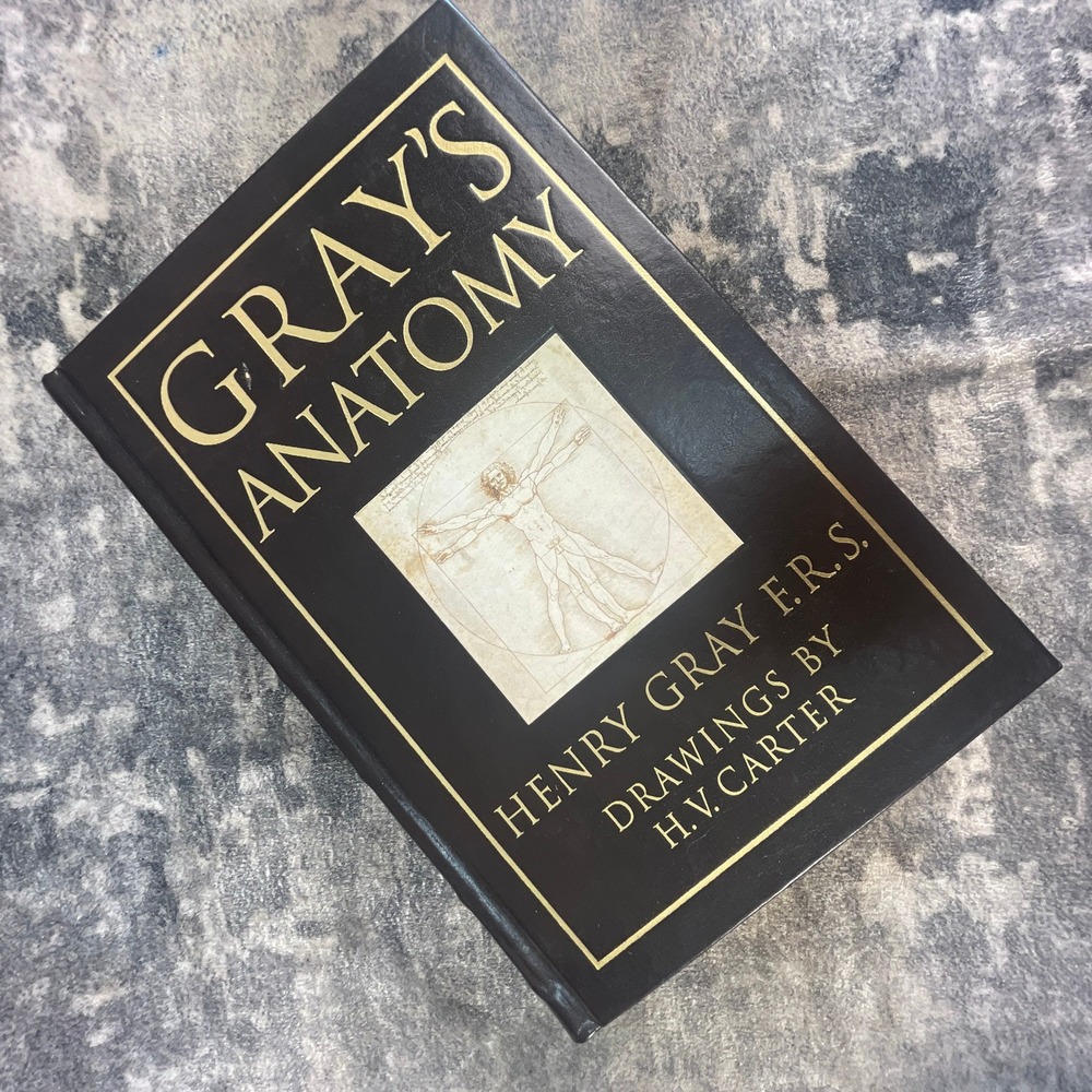 Gray's Anatomy Henry Gray 1995 Barnes & Noble Leatherbound 1901 Facsimile‎